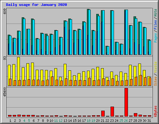 Daily usage for January 2020