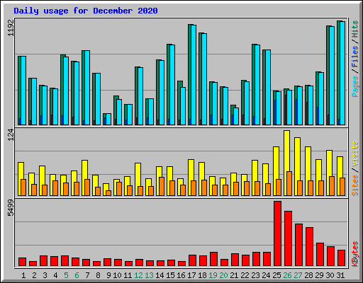Daily usage for December 2020