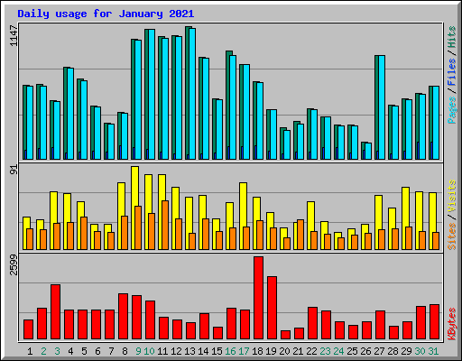 Daily usage for January 2021