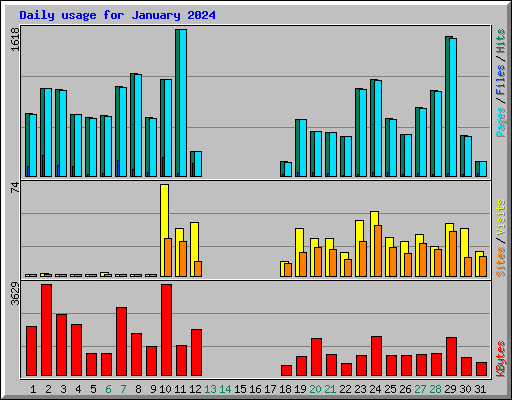 Daily usage for January 2024