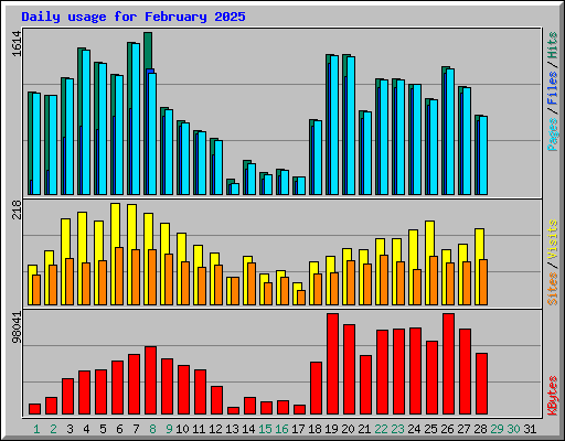 Daily usage for February 2025