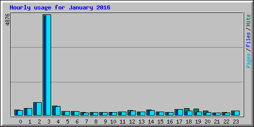 Hourly usage for January 2016