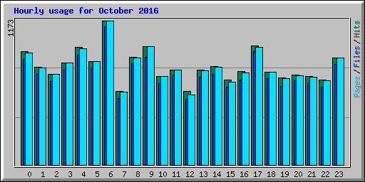 Hourly usage for October 2016
