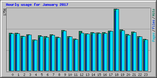 Hourly usage for January 2017