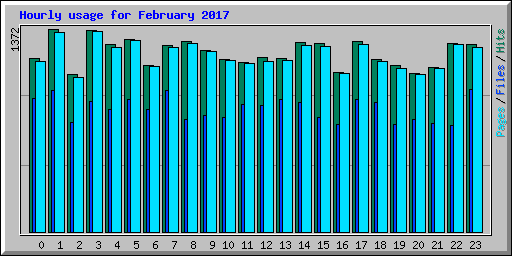 Hourly usage for February 2017