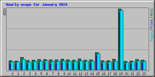 Hourly usage for January 2019