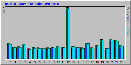 Hourly usage for February 2019