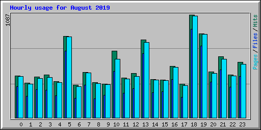 Hourly usage for August 2019