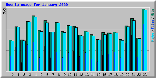 Hourly usage for January 2020