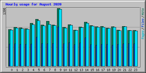 Hourly usage for August 2020