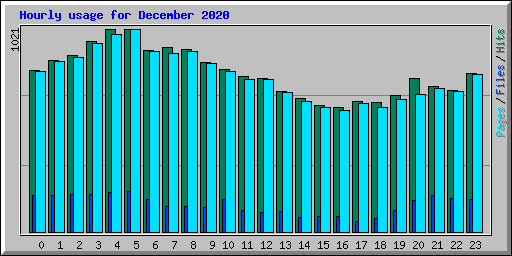Hourly usage for December 2020