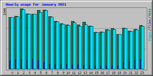 Hourly usage for January 2021