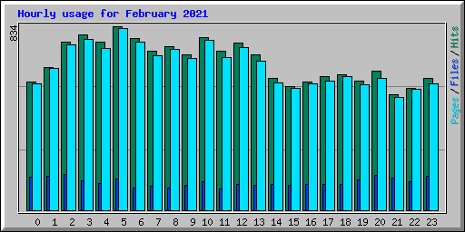 Hourly usage for February 2021