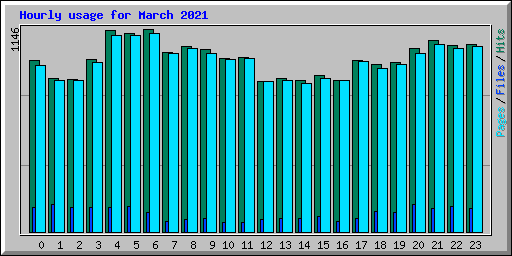 Hourly usage for March 2021