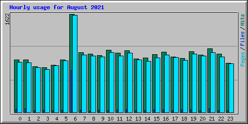 Hourly usage for August 2021