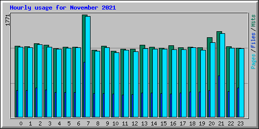 Hourly usage for November 2021