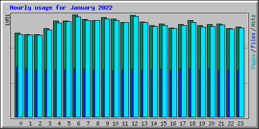 Hourly usage for January 2022