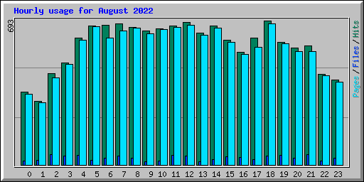 Hourly usage for August 2022
