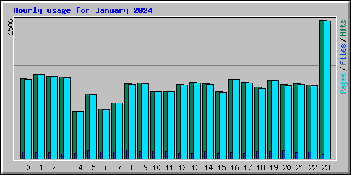 Hourly usage for January 2024