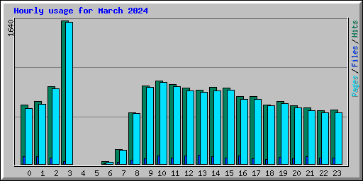 Hourly usage for March 2024
