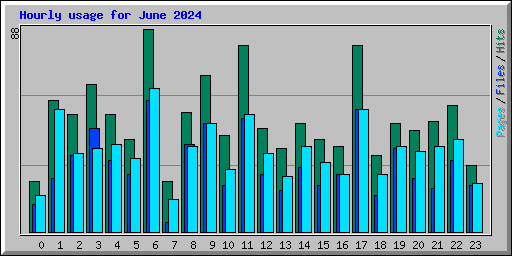 Hourly usage for June 2024