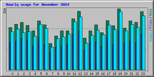 Hourly usage for November 2024