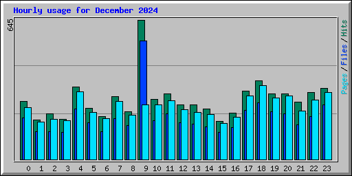 Hourly usage for December 2024