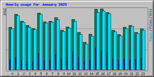 Hourly usage for January 2025
