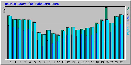 Hourly usage for February 2025