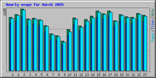 Hourly usage for March 2025