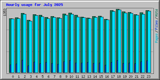 Hourly usage for July 2025