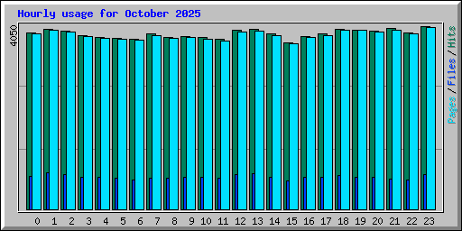Hourly usage for October 2025