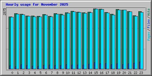 Hourly usage for November 2025