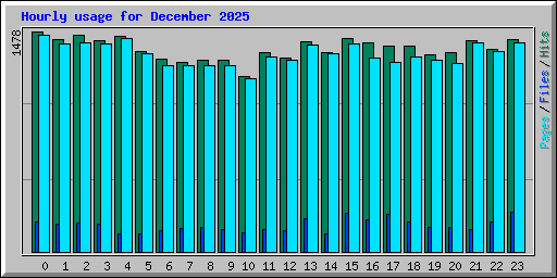 Hourly usage for December 2025
