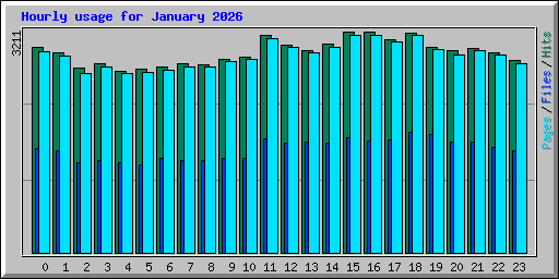 Hourly usage for January 2026