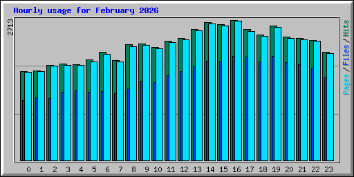 Hourly usage for February 2026